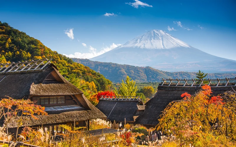 Escapada a Japón